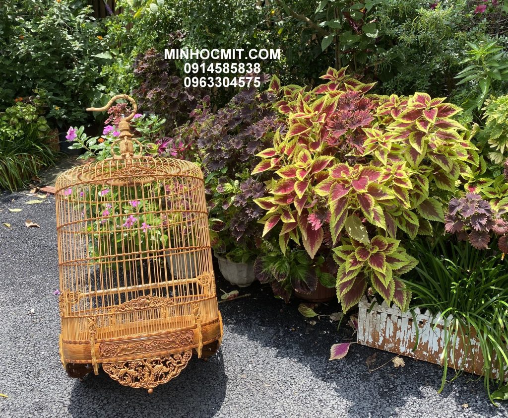 Lồng CHOÈ Than & Khướu chạm Hạc Tùng thủng cả tang viền trúc