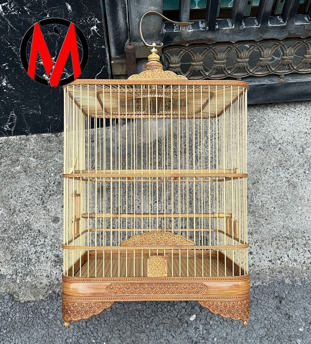 Lồng thi đấu 23 nan Chào Mào chạm tay Bi HOA TRANH bo góc đẳng cấp siêu đẹp