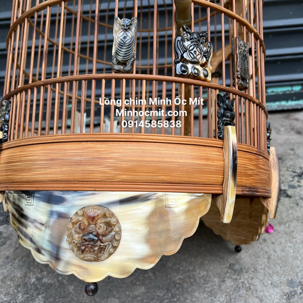 LỒNG CHIM HỌA MI KIẾM TRE GIÀ ĐỘ SỪNG BÒ CHÂU PHI PHÙ HỔ ĐẸP CỰC NGẦU